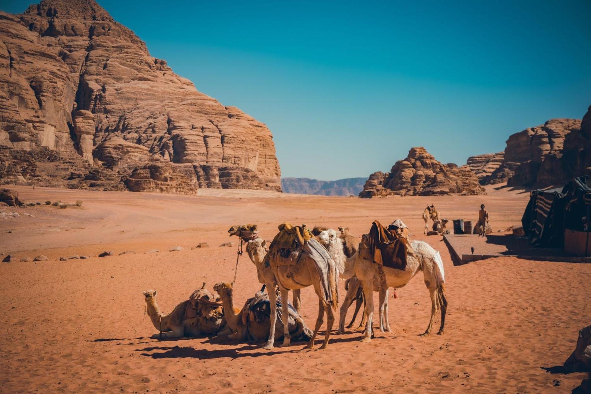 Taj Wadi Rum Camp المظهر الخارجي الصورة